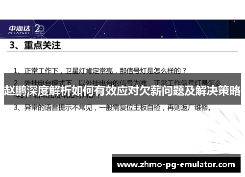 赵鹏深度解析如何有效应对欠薪问题及解决策略 赵鹏深度解析如何有效应对欠薪问题及解决策略